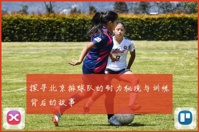 探寻北京排球队的耐力秘境与训练背后的故事