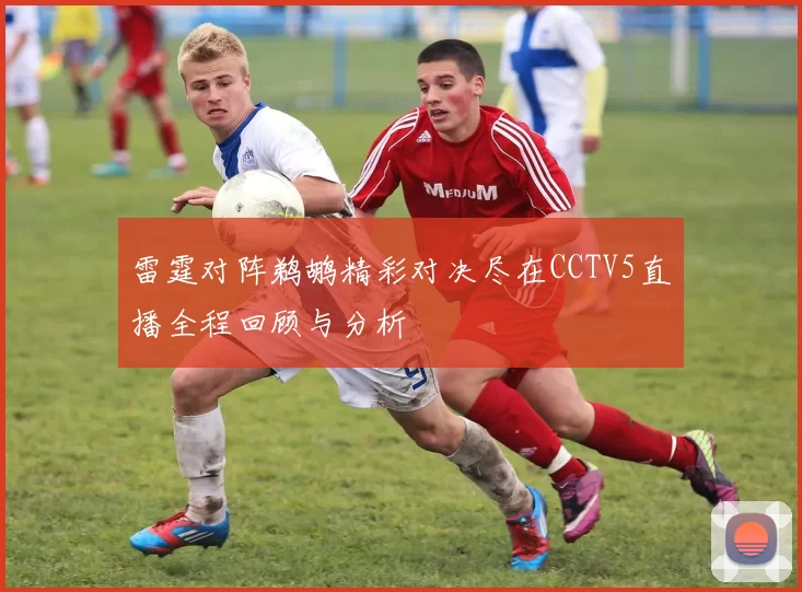 雷霆对阵鹈鹕精彩对决尽在CCTV5直播全程回顾与分析