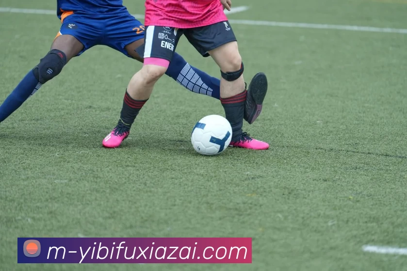 多媒体互动体验